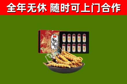 友好回收冬虫夏草价格
